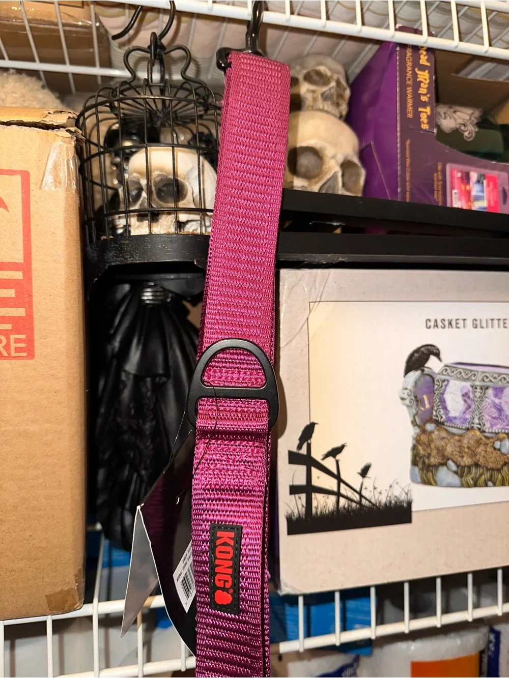 Kong Pink Dog Collar or Leash with Black Hardware